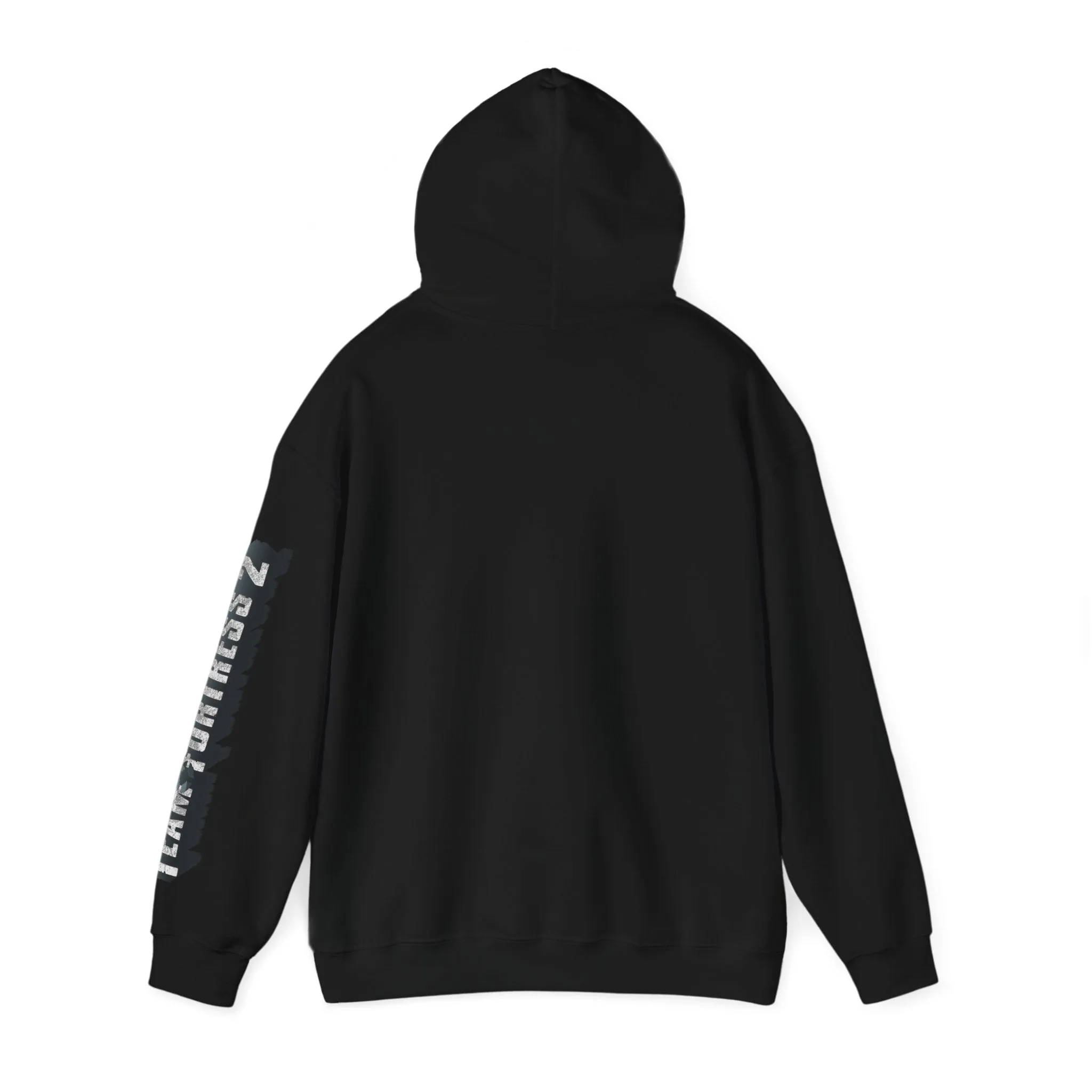 Team Fortress 2 Gamer Hoodie, TF2 Graphic Art, Unisex Gaming Sweatshirt, Gamer Gift, Hooded Pullover, Geek Clothing