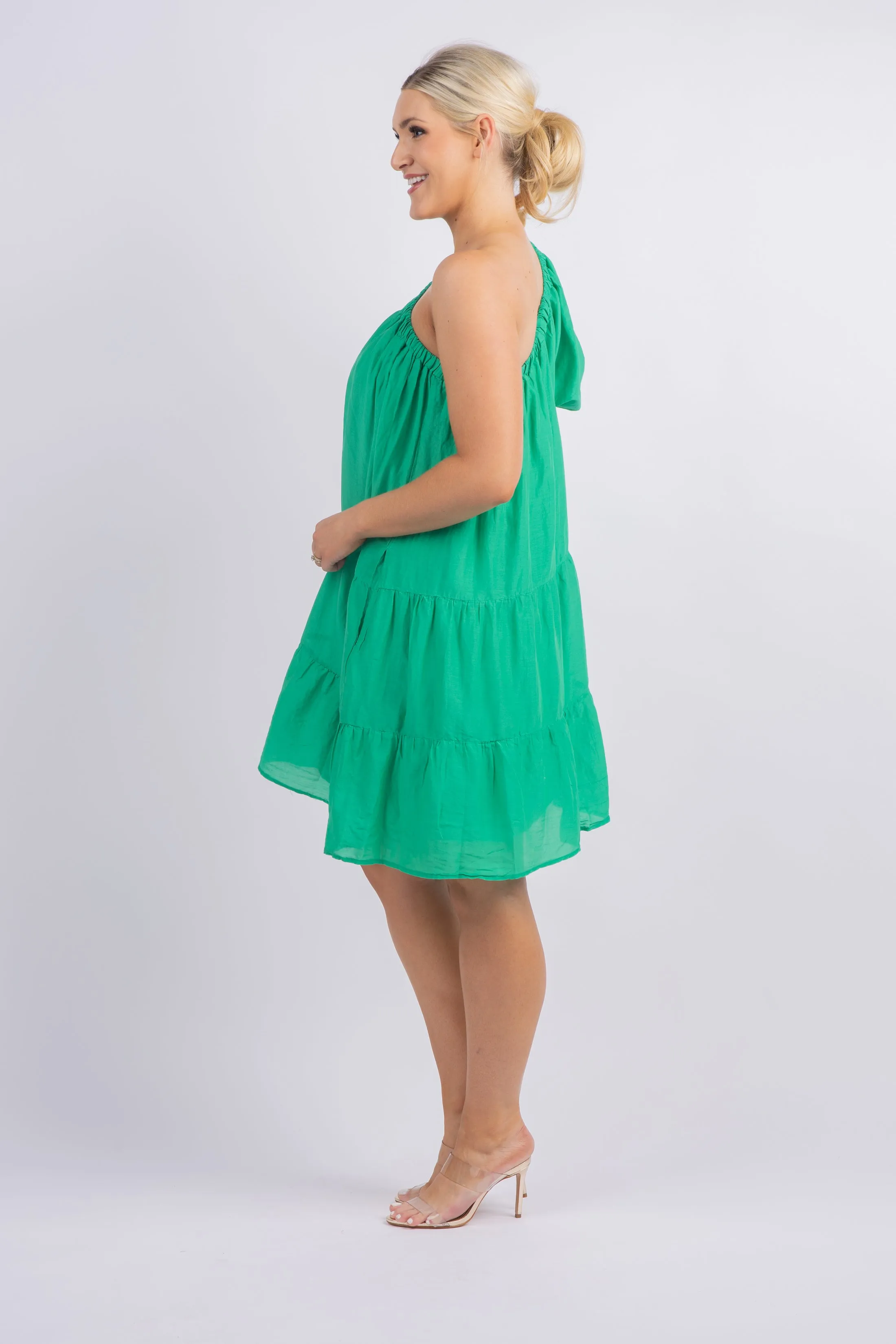 Velvet by Graham & Spencer Trish Dress in Dragon